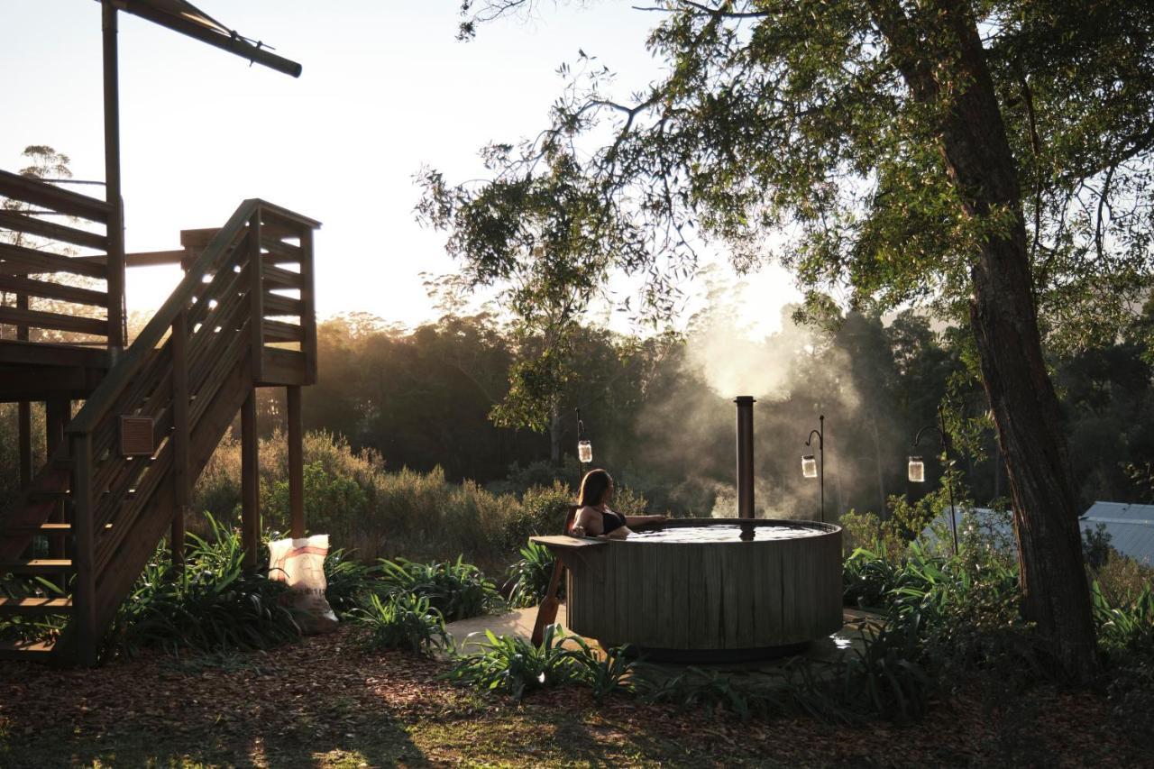 Africamps At Oakhurst Wilderness Exterior photo