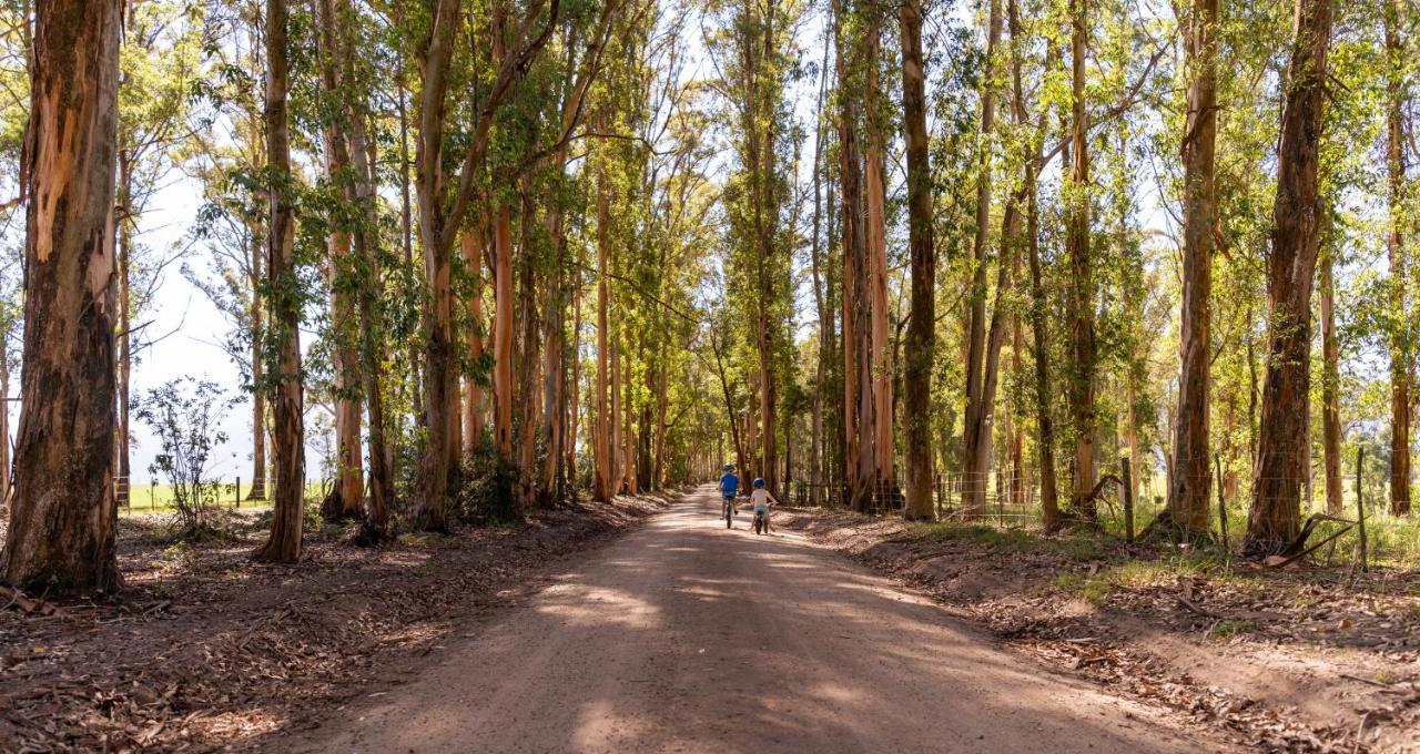 Africamps At Oakhurst Wilderness Exterior photo